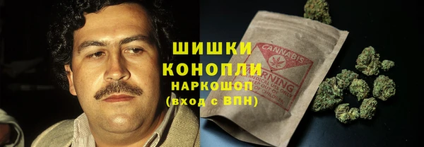 гидра Верея