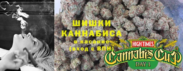 МДПВ Верхний Тагил