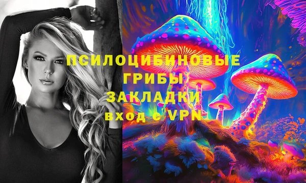 гидра Верея